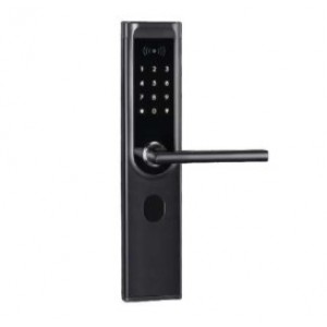 Smart Lock Systems AP-10