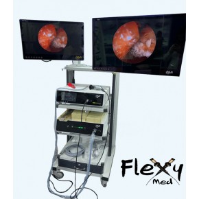 Full HD Endoscopy FLY05