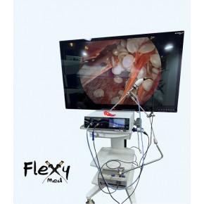 Endoscopy Set FLZ04